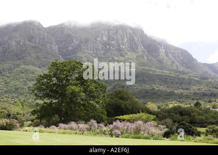 Tafelberg im Nebel von Kirstenbosch National Botanical Gardens, Cape Town, Western Cape, Südafrika Stockfoto