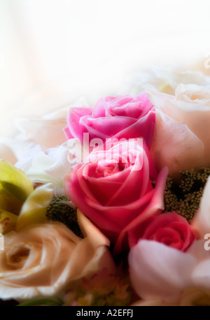 Künstlerische Auseinandersetzung mit einem Bouquet Rose Gesteck Stockfoto