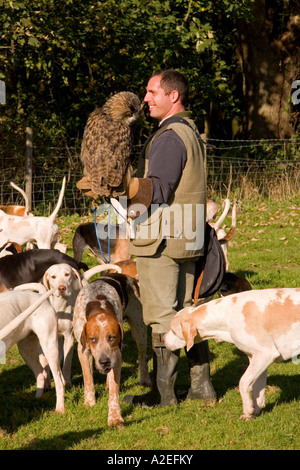 Handler die Suffolk jagt Europäische Uhu Suffolk England UK Stockfoto