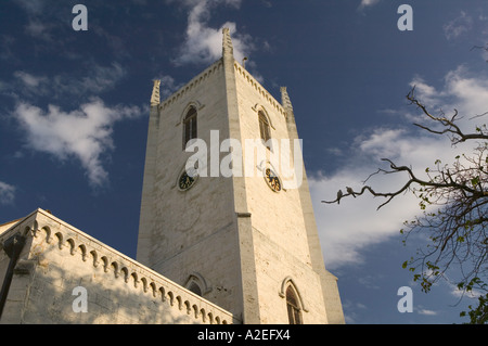 BAHAMAS, New Providence Island, Nassau: Christuskirche anglikanische Kathedrale Stockfoto