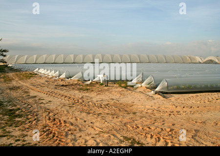 Kunststoff Gewächshäuser und Poly Tunnel intensiven Gemüse- und Obstbau in Andalusien Südspanien Stockfoto