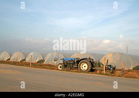 Kunststoff Gewächshäuser und Poly Tunnel intensiven Gemüse- und Obstbau in Andalusien Südspanien Stockfoto