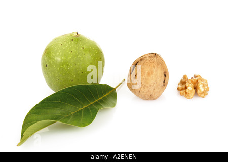 Frische Walnüsse und lassen Stockfoto