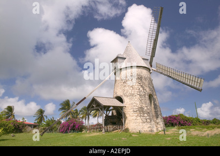 Französische Antillen Guadeloupe, Marie, Galante, Insel BEZARD: Moulin Bezard, funktionierende Windmühle gebaut im Jahre 1814 Stockfoto