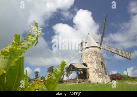 Französische Antillen Guadeloupe, Marie, Galante, Insel BEZARD: Moulin Bezard, funktionierende Windmühle gebaut im Jahre 1814 Stockfoto