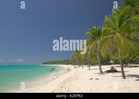 Französische Antillen Guadeloupe, Marie, Galante, Insel CAPESTERRE: Plage de Petite Anse Stockfoto