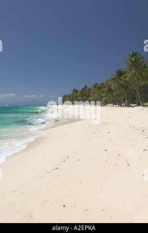 Französische Antillen Guadeloupe, Marie, Galante, Insel CAPESTERRE: Plage de Petite Anse Beach Stockfoto