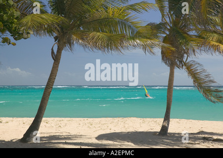 Französische Antillen Guadeloupe, Marie, Galante, Insel CAPESTERRE: Windsurfer am Strand Plage De La Feuillere Stockfoto