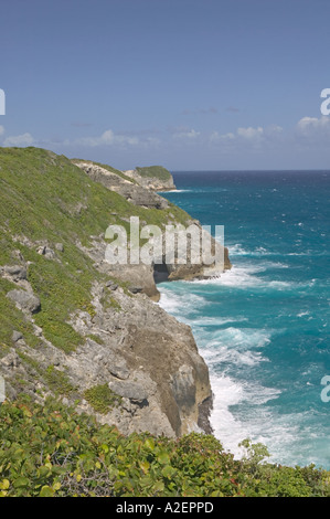 Französische Antillen Guadeloupe, Marie, Galante, Insel GRAND GOUFFRE GUEULE: Rock Arch / Nordküste Stockfoto