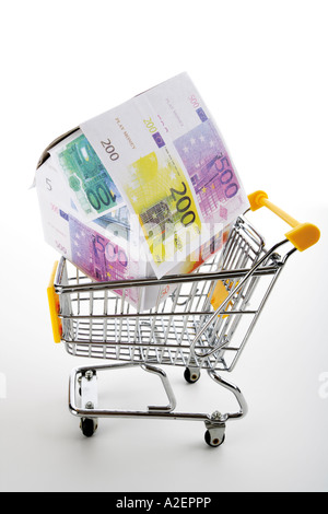 Haus von Euro-Banknoten in Einkaufswagen Stockfoto