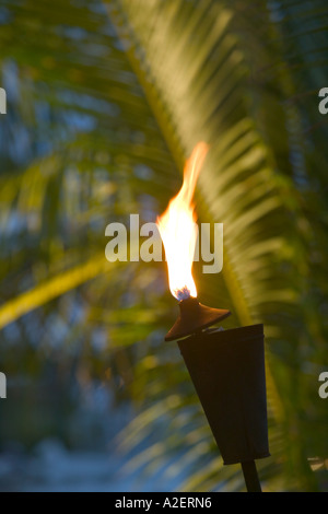 Turks und Caicos, Providenciales Insel, Turtle Cove, Strand Fackel und Palmen, Abend, Aqua Bar Stockfoto