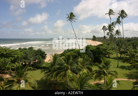Landschaft Sri Lankas - tropischer Strand;- Bentota Beach, mit Palmen und Sand auf dem Indischen Ozean; Sri Lanka Strand; Sri Lanka Reise, Sri Lanka, Asien Stockfoto