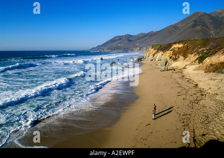 CA Big Sur Garrapata State Park Garrapata Beach Stockfoto