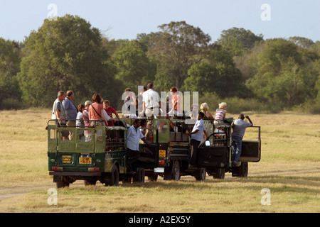 Jeep-Safari-Fahrzeugen voller Touristen im Minneriya Nationalpark Sri Lanka Asien Stockfoto