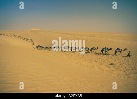 Salz Wohnwagen in großen Sahara Wüste Mali Stockfoto