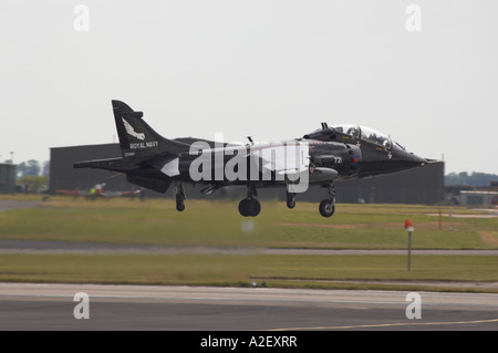 Royal Navy BAe Sea Harrier Stockfoto