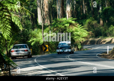 Autos auf der Monbulk Straße Dandenong Ranges National Park-Victoria-Australia Stockfoto