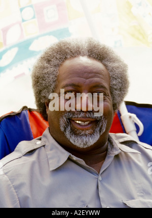 Porträt des Lächelns reifen Mannes Stockfoto