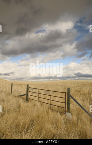 Fort MacLeod, Alberta, Kanada: Kopf zerschlagen, In Buffalo Jump Center: Zaun & Feld Stockfoto