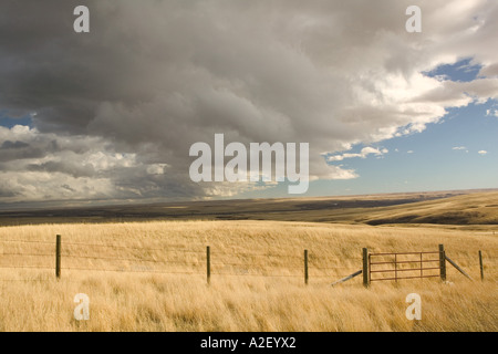 Fort MacLeod, Alberta, Kanada: Kopf zerschlagen, In Buffalo Jump Center: Zaun & Feld Stockfoto