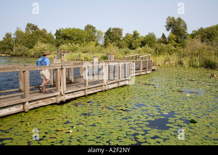 Frau am Boardwalk über Wasser Lilly bedeckt Teil des Lake Washington Seattle USA Stockfoto