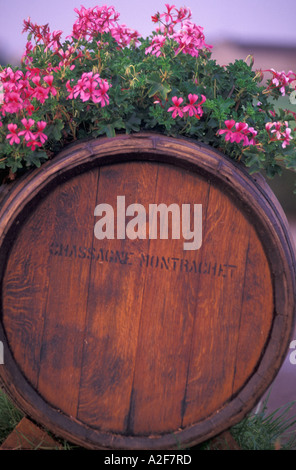 EU, Frankreich, Burgund, Puligny-Montrachet Dorf Stockfoto