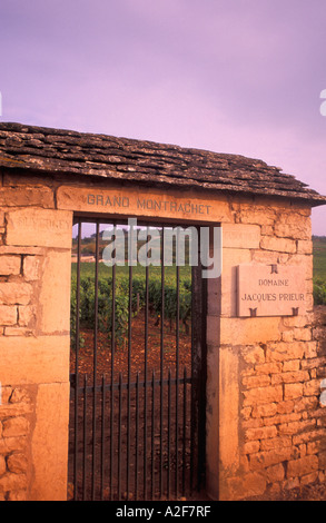 EU, Frankreich, Burgund, Puligny-Montrachet Weinberg gateway Stockfoto