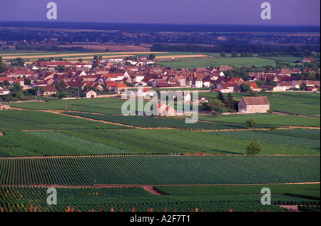 EU, Frankreich, Burgund, Puligny-Montrachet Dorf und die Weinberge Stockfoto