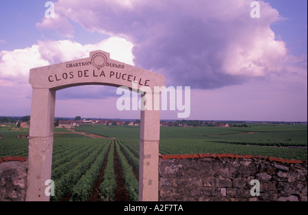 EU, Frankreich, Burgund, Puligny-Montrachet.  Weinberg-gateway Stockfoto