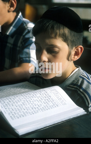 Jüdischen Jungen studieren Torah Stockfoto