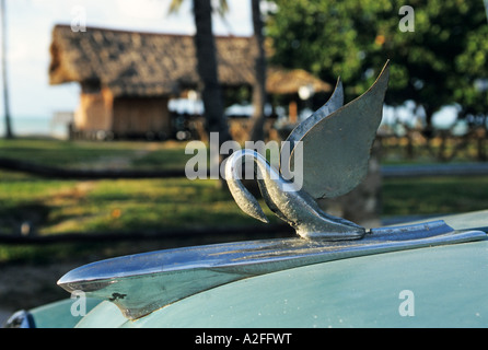 Kühlerfigur eines Oldtimers, Varadero, Kuba Stockfoto