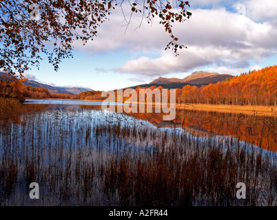 LOCH LOMOND IM HERBST Stockfoto