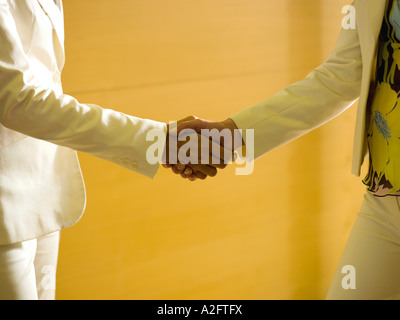 Zwei Geschäftsfrauen, die Hände schütteln, close-up, Mittelteil Stockfoto
