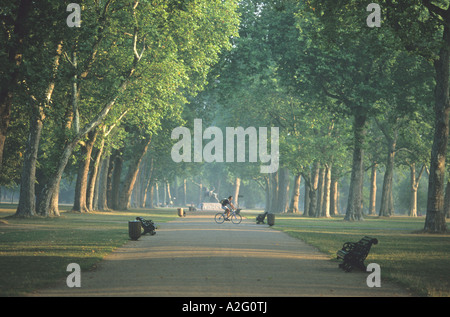 Radfahren durch eine Allee von Bäumen in den frühen Morgenstunden, Kensington Gardens, London Stockfoto