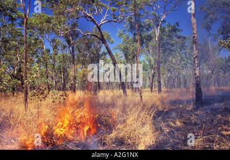 Buschfeuer in Kakadu National Park Northern Territory Australien Stockfoto