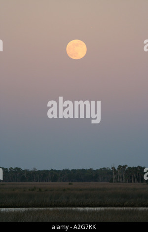 Mond über Fluss Stockfoto