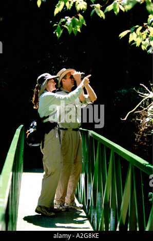 Costa Rica, San Gerardo Valley Savegre River, Talamanca Berge, paar auf Brücke mit Blick auf reicher Vogelwelt (MR) Stockfoto
