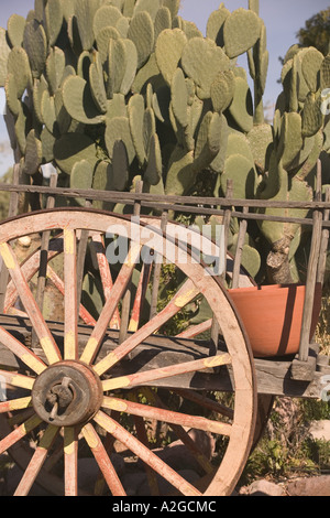 USA, Arizona, Tubac: Süden Arizonas Premier Handwerk Stadt Wagen voller Prickly Pear Cactus Stockfoto