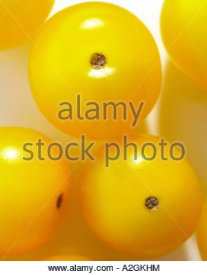 Gelbe Cherry-Tomate Stockfoto