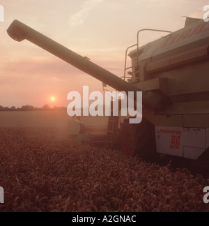 Kombinieren Sie ernten spät an einem Sommerabend mit der Sonne gebadet in Orange Licht, Berkshire Stockfoto