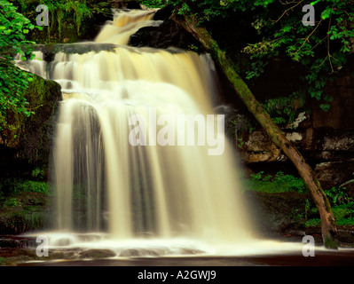 Wasserfall auf Walden Beck in West Burton in den Yorkshire Dales Stockfoto