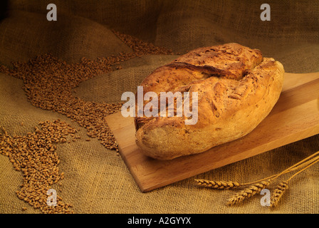 Frisch gebackenes Brot der traditionellen Jäger auf ein Bäcker aus Holz Paddel ruht auf Säcke Getreide Stockfoto