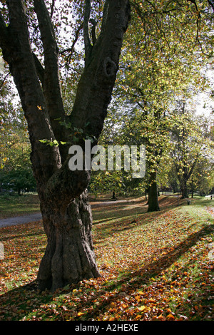 Das Arboretum, Derby, Derbyshire, England Stockfoto