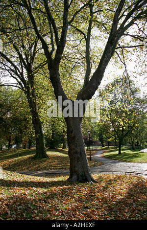 Das Arboretum, Derby, Derbyshire, England Stockfoto