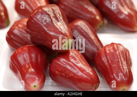 Syzygium Samarangense oder Wachs Apfel oder Rosenapfel Stockfoto