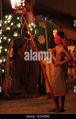 Fackelträger und eines Elefanten in den großen Kandy Esala Perahera Festival in Kandy, Sri Lanka Stockfoto