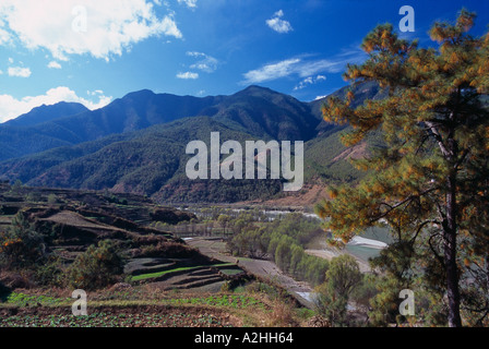 Bauernhof-Terrassen in der Nähe von der ersten Biegung des Yangtse Flusses Provinz Yunnan China Stockfoto