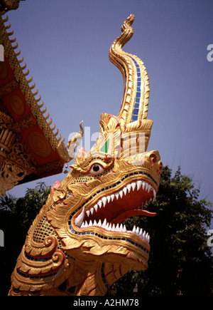 Thailand Chiang Mai vergoldete Tempel Drachenkopf Stockfoto