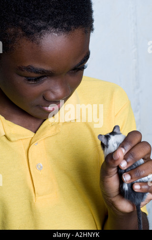 Kleiner Junge hält eine Rennmaus Stockfoto