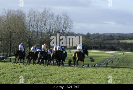 Pferderennen in Warwick Rennen, Warwickshire, England, UK Stockfoto